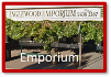 Inglewood Emporium